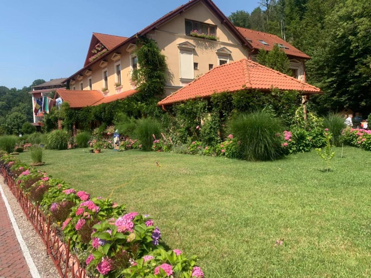 Hotel Vila Cerbul Albastru Moneasa Exteriér fotografie